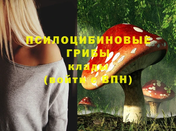 COCAINE Тайга