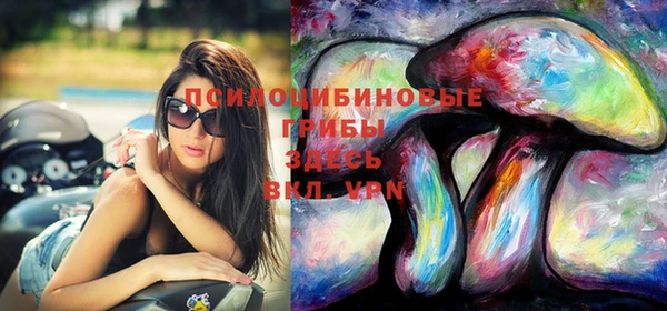 круглые Тавда