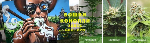 COCAINE Тайга