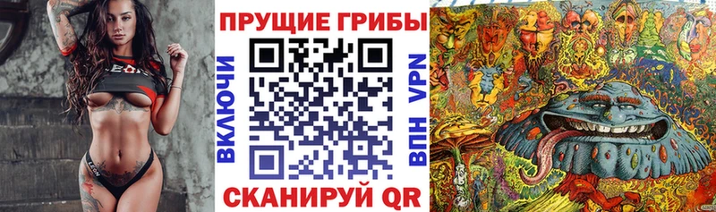 Галлюциногенные грибы ЛСД  Знаменск 
