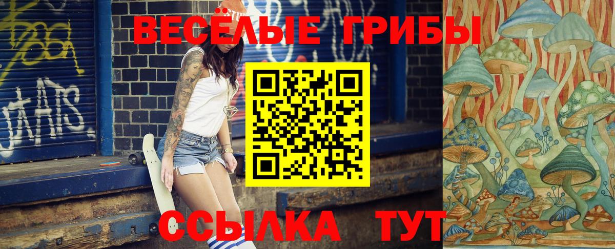 Галлюциногенные грибы GOLDEN TEACHER  Знаменск 