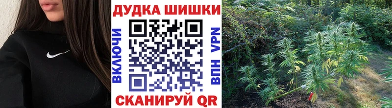 закладки  Знаменск  Бошки Шишки семена 