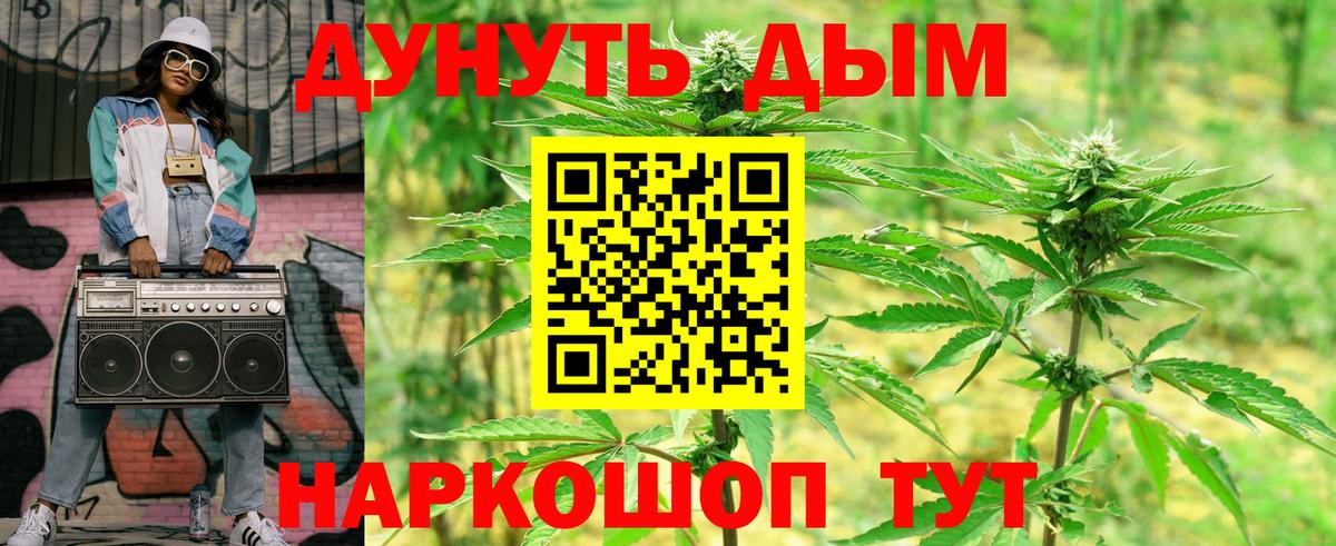 Конопля план  Вход с VPN  Знаменск  Каннабис семена  Конопля Bruce Banner 